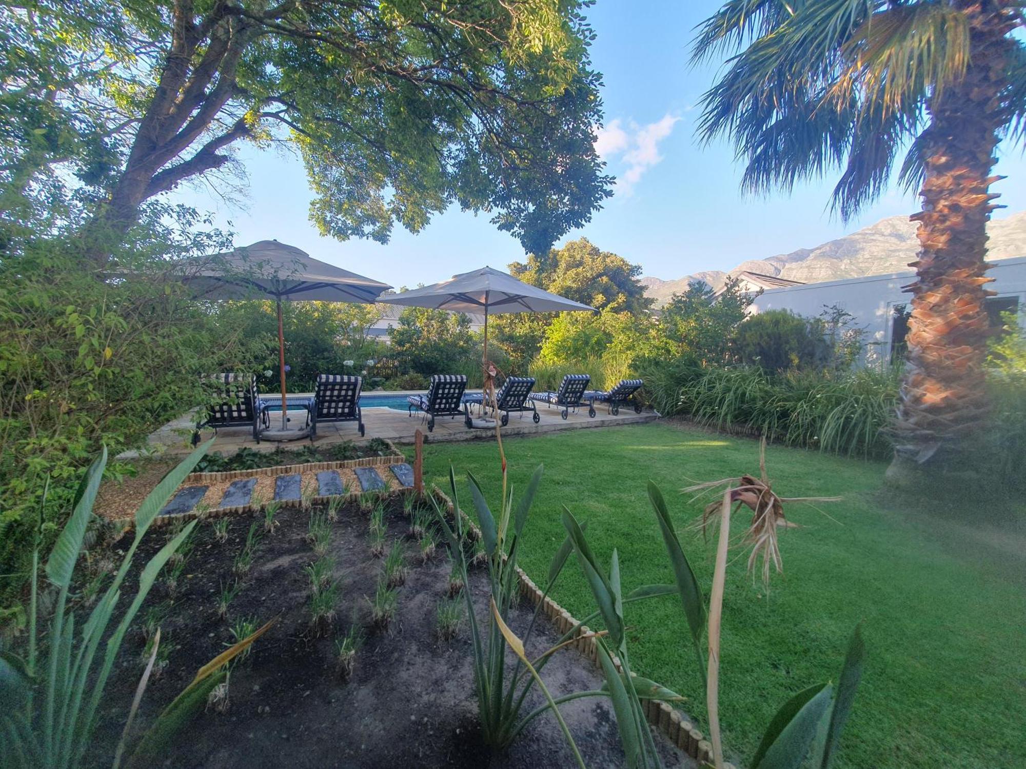 Bed and Breakfast Petit Ermitage Franschhoek Esterno foto